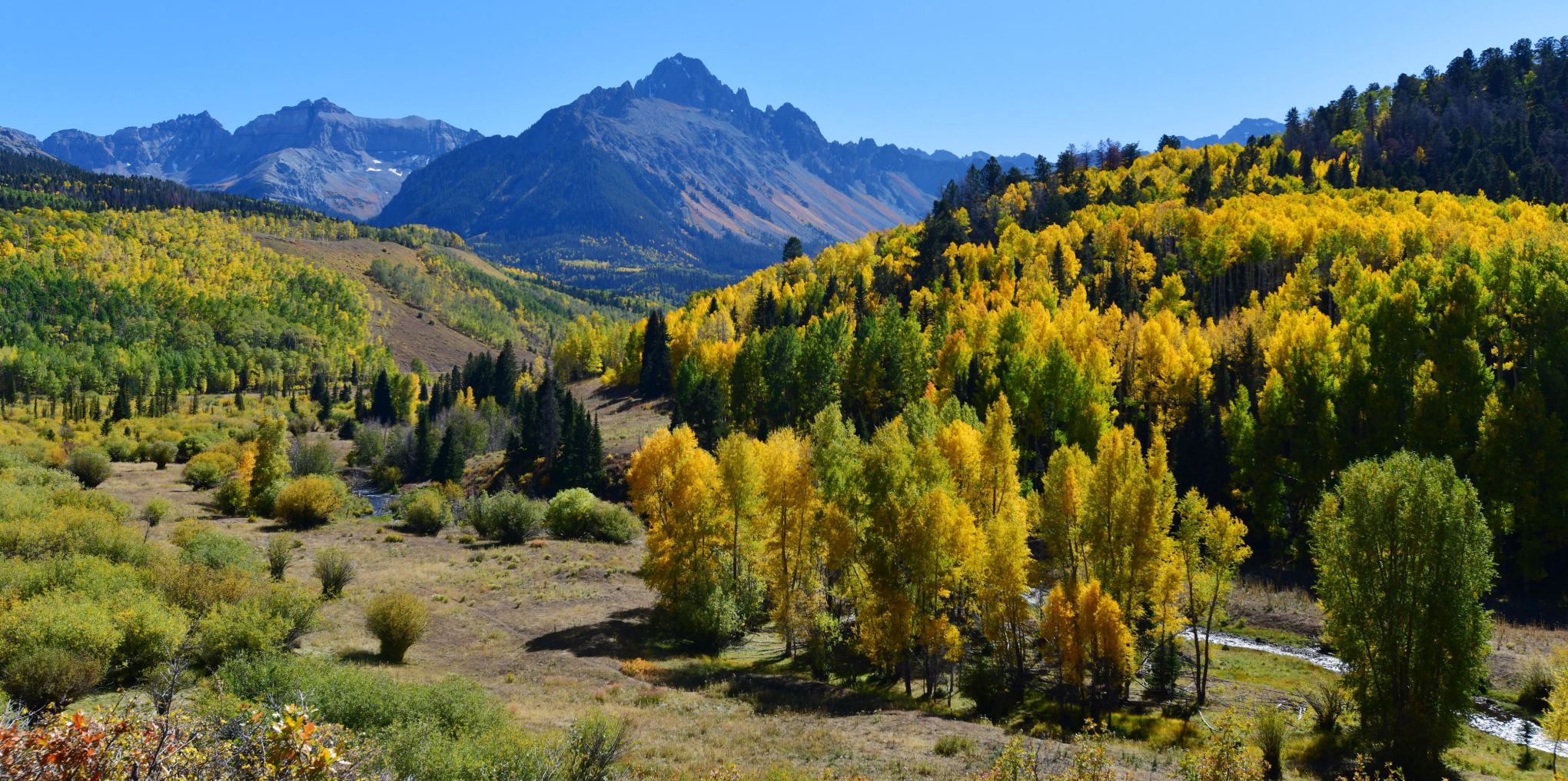 100619-news-aspens 14.JPG